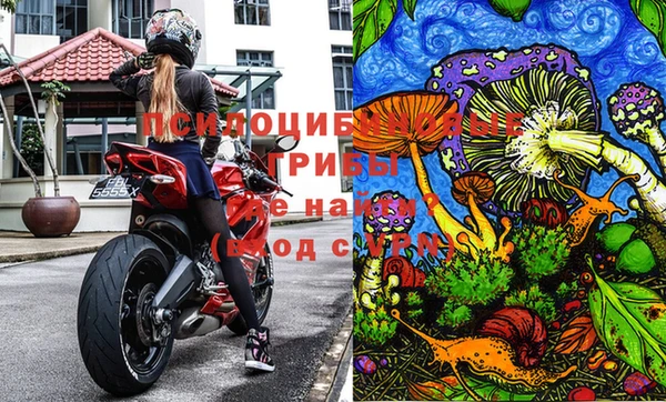 герыч Бронницы