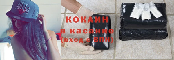 apvp Бородино