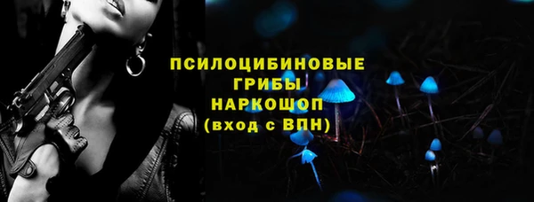 apvp Бородино