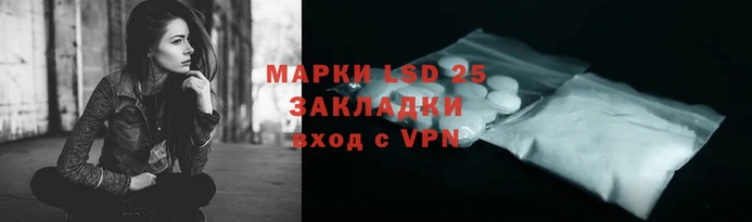 apvp Бородино