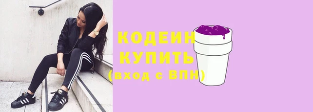 apvp Бородино