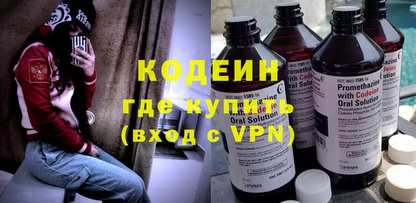 apvp Бородино