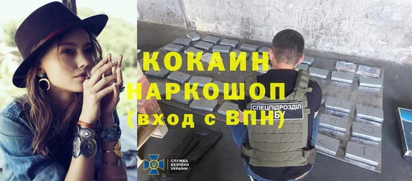 apvp Бородино