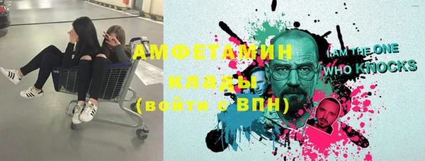 гидра Богданович