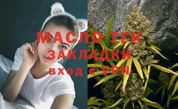 apvp Бородино