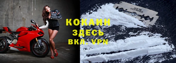apvp Бородино